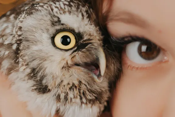 카지노 올스타 슬롯츠 지원